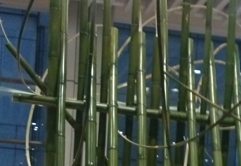 bamboo.png