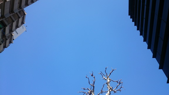 sky.jpg